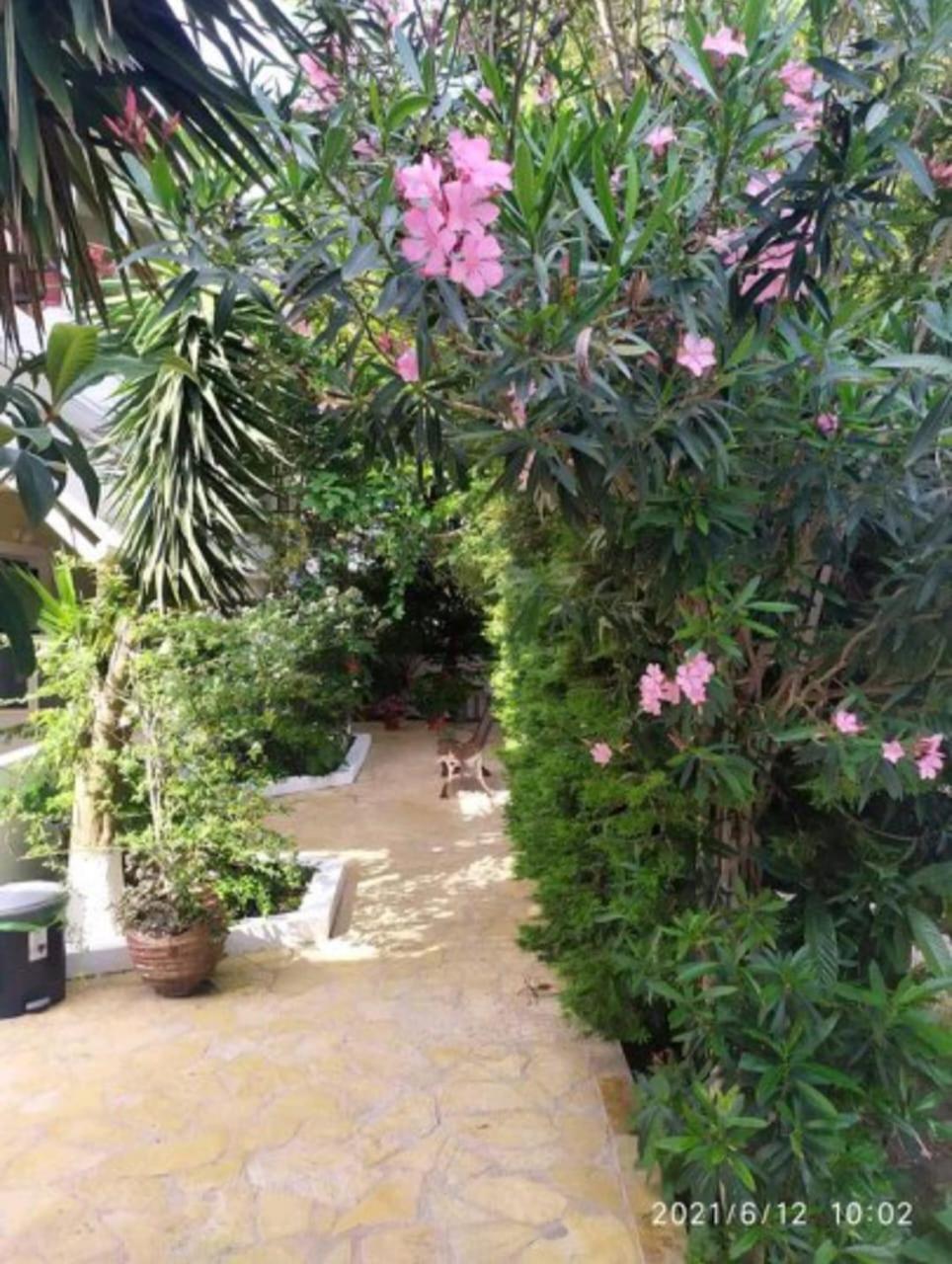 Lenia Studios Kalamítsi Extérieur photo